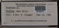 Image Associated With the Occurence